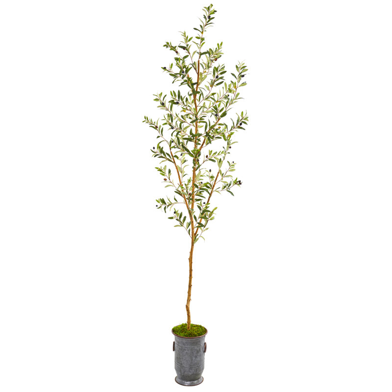 Gracie Oaks Artificial Olive Tree in Decorative Vase & Reviews Wayfair